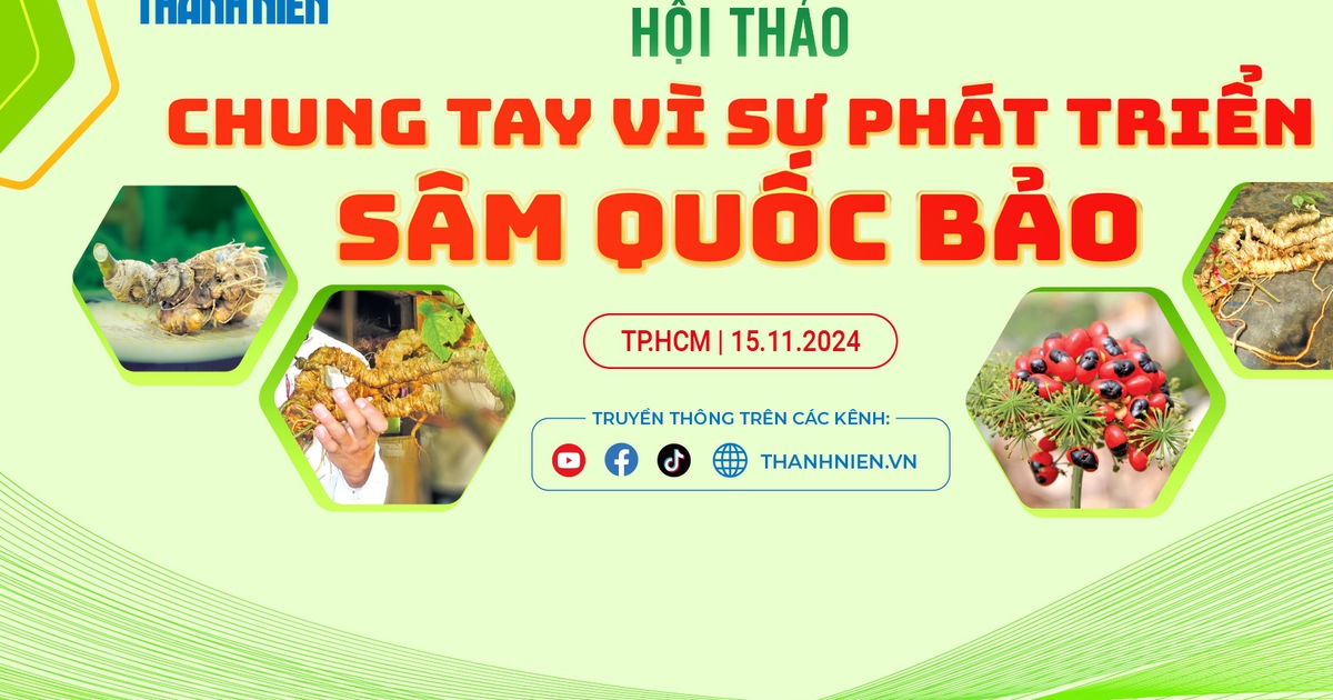 Báo Thanh Niên tổ chức hội thảo vì sự phát triển sâm quốc bảo