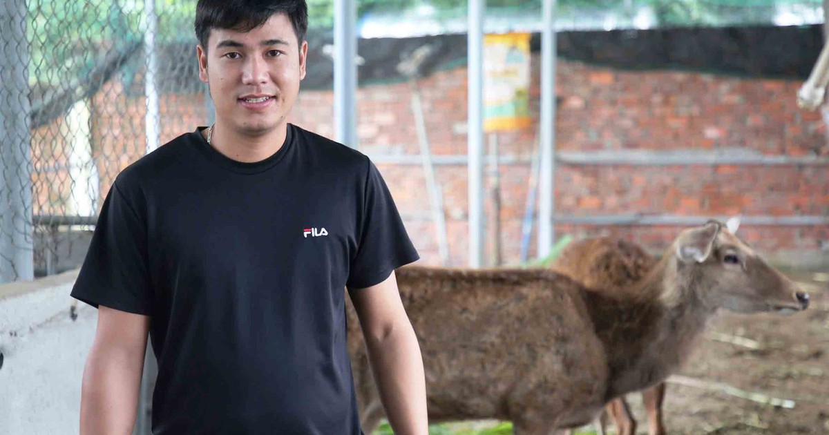 Chàng trai thu lãi hơn nửa tỉ đồng/năm nhờ nuôi hươu