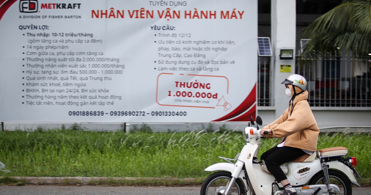 Năm 2025, TP.HCM cần tới 330.000 vị trí việc làm