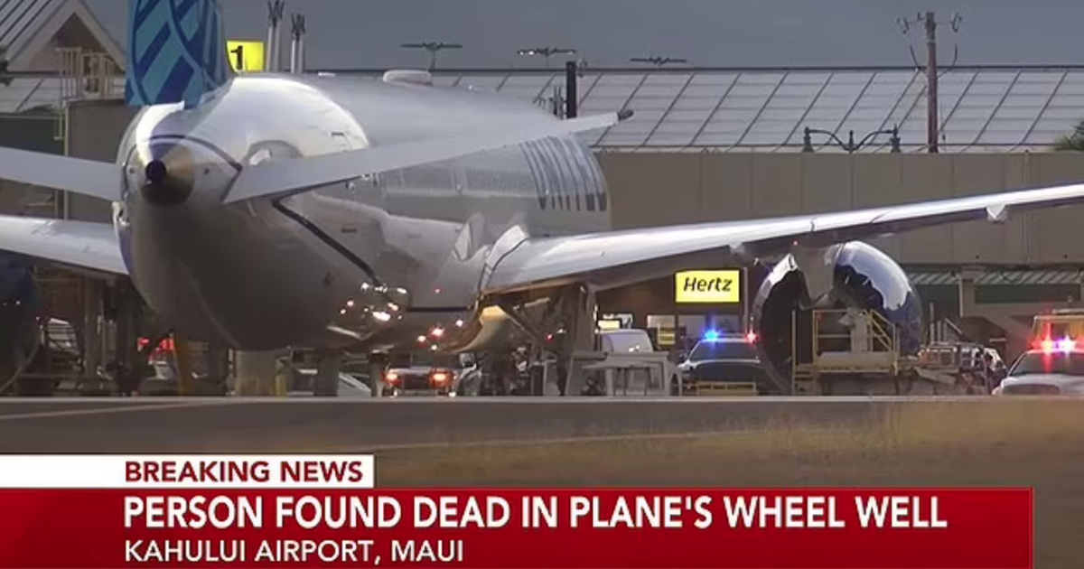 Body discovered in the landing gear of an American passenger plane