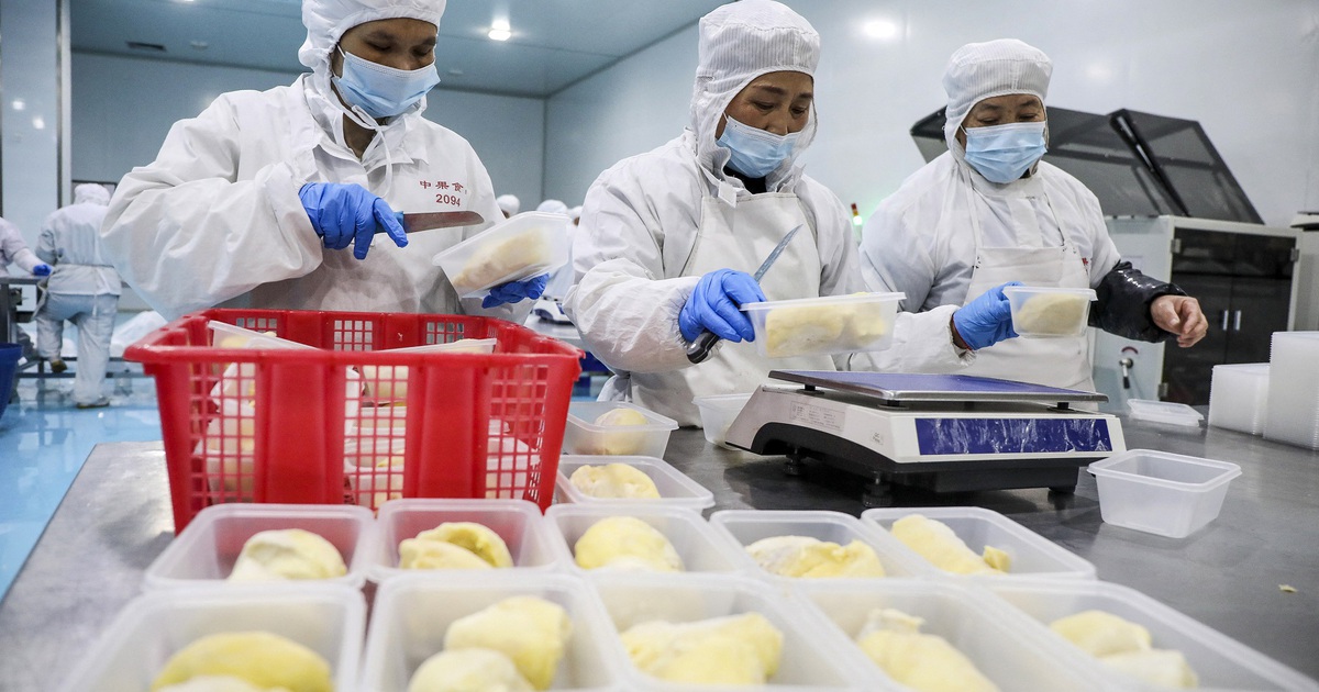 The ‘200-dish durian’ party helps the Chinese restaurant become famous