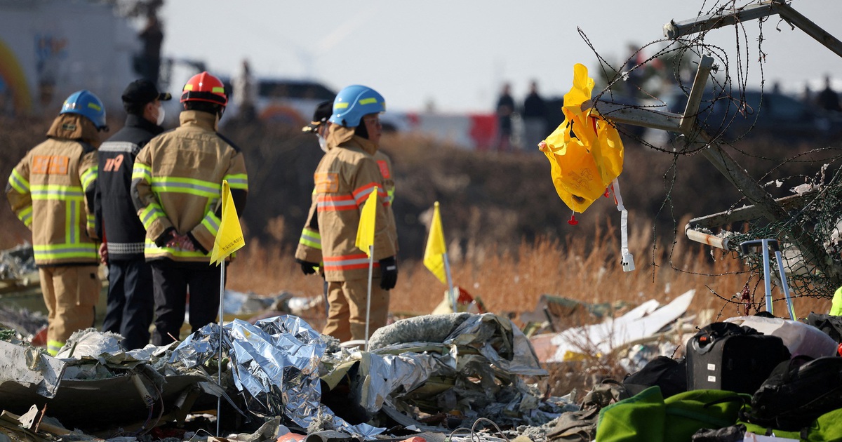 Initial investigation: Korean plane hit a bird, leading to tragedy