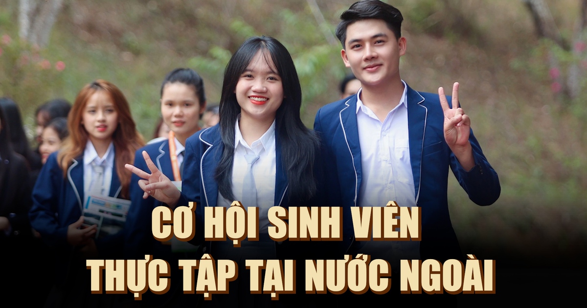 Những cơ hội cho sinh viên thực tập tại nước ngoài