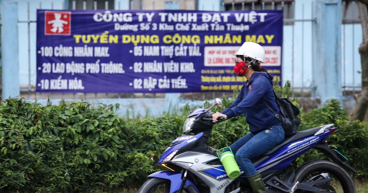 Lao động phổ thông chiếm lĩnh nhu cầu tuyển dụng