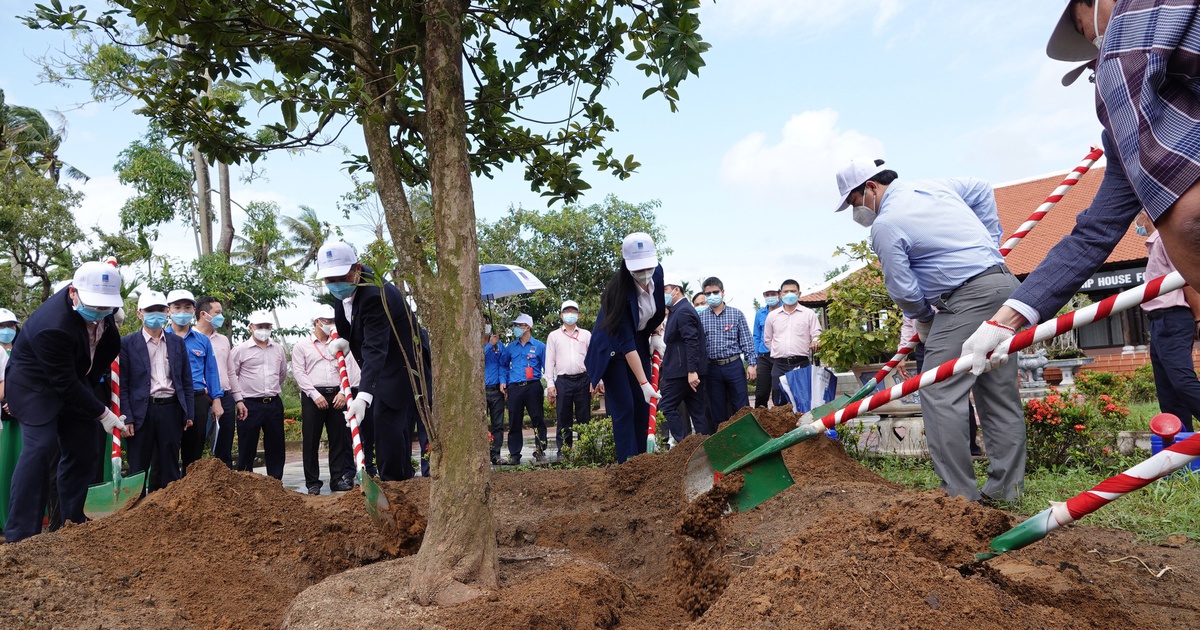 BSR trồng 1 triệu cây xanh ở Quảng Ngãi