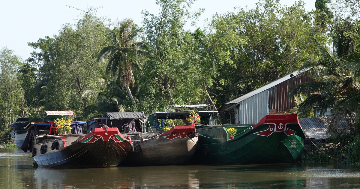 Thi ảnh Khát vọng năm rồng: Tết ghe ở miền Tây