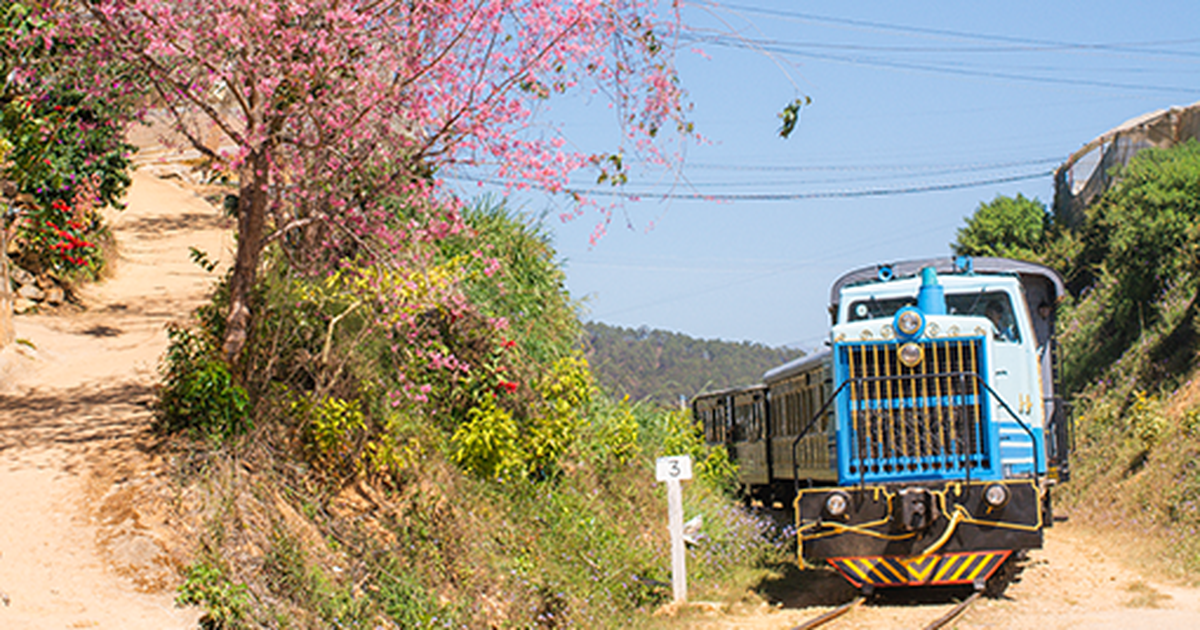 Thi ảnh Khát vọng năm rồng: Bắt gặp một khoảnh khắc mùa xuân