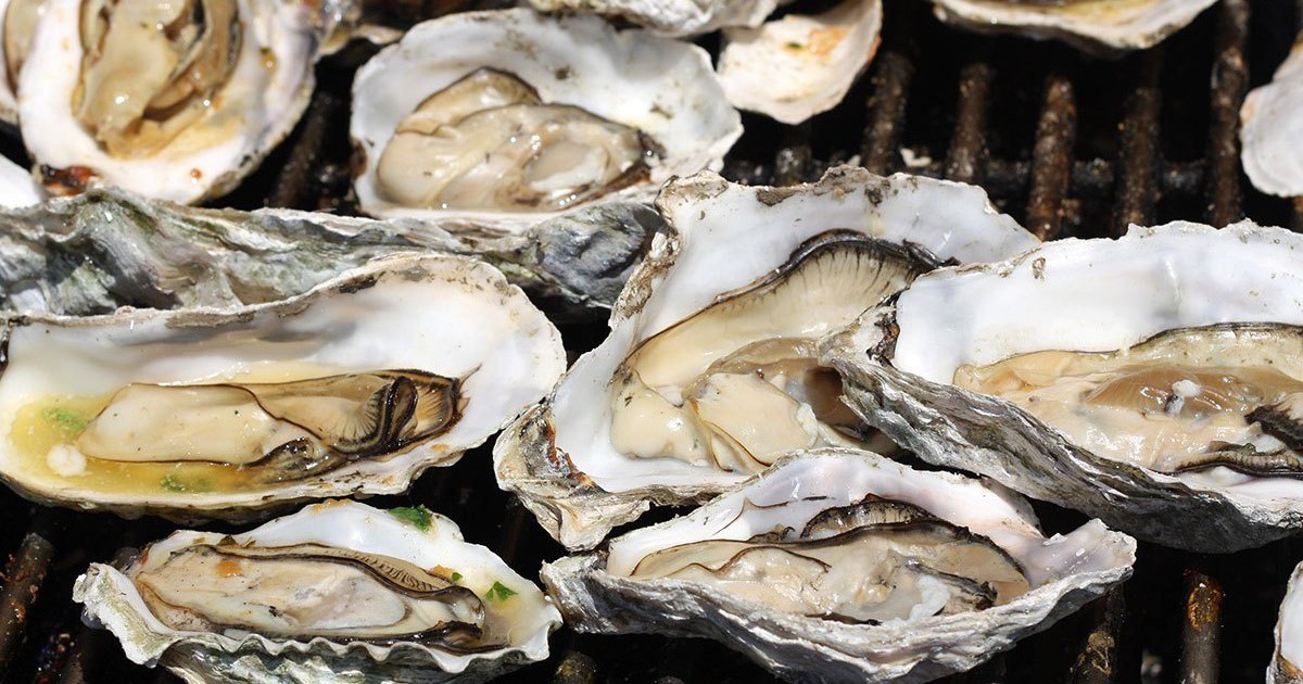 Lạm dụng hàu để tăng cường sinh lý khiến nhiều nam giới bị ngộ độc