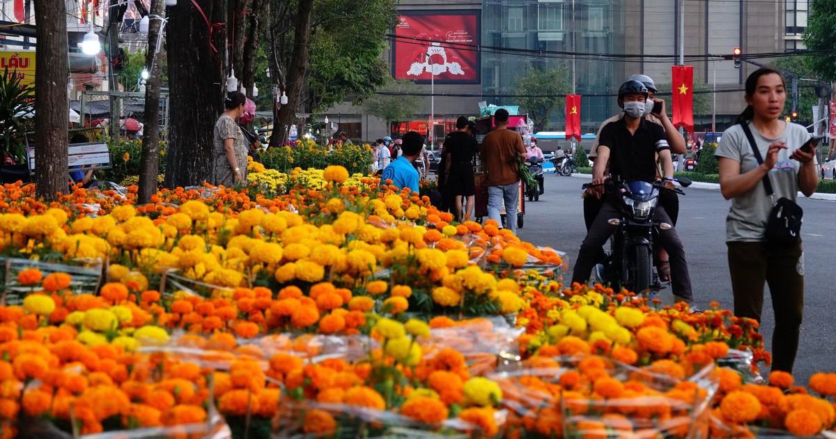 Giảm giá vẫn ế, người bán hoa kiểng chỉ mong huề vốn