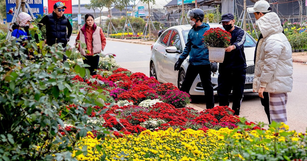 Thi ảnh Khát vọng năm rồng: Ước vọng làm đẹp cho đời, giữ nghề cây cảnh đến muôn đời