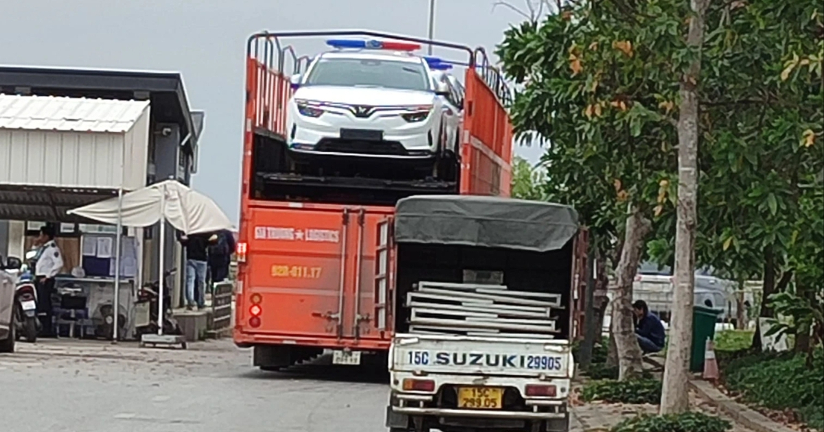 thanhnien.vn