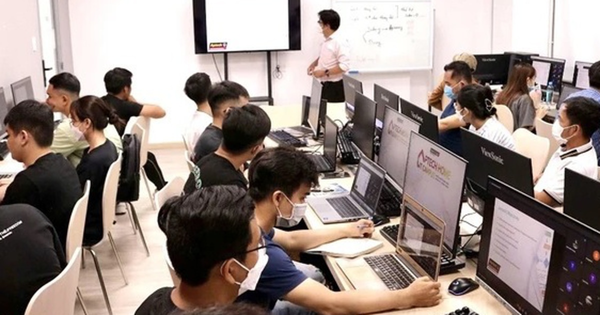 Nhiều người học ngành công nghệ 'hot', làm sao để cạnh tranh?