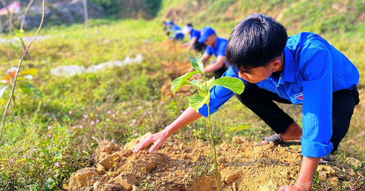 Đoàn góp phần to lớn vào xây dựng nông thôn mới: Làm thay đổi vùng biên