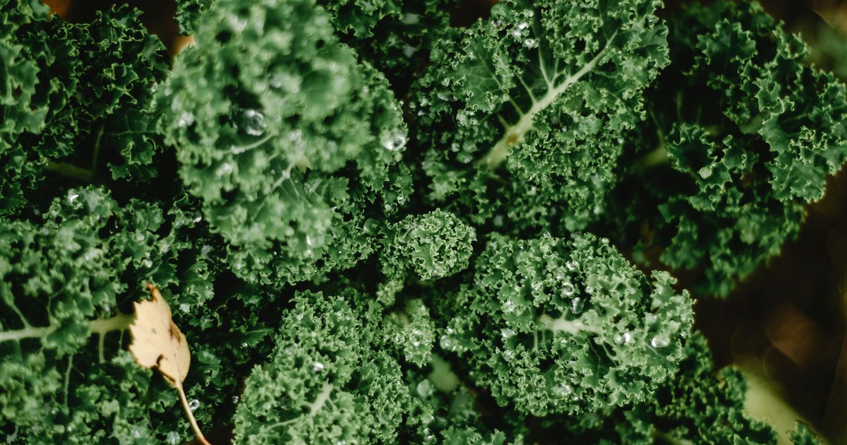 Những loại rau lá xanh tốt cho sức khỏe