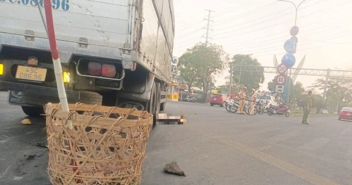 Công an H.Bình Chánh tìm người chứng kiến vụ tai nạn 2 người tử vong