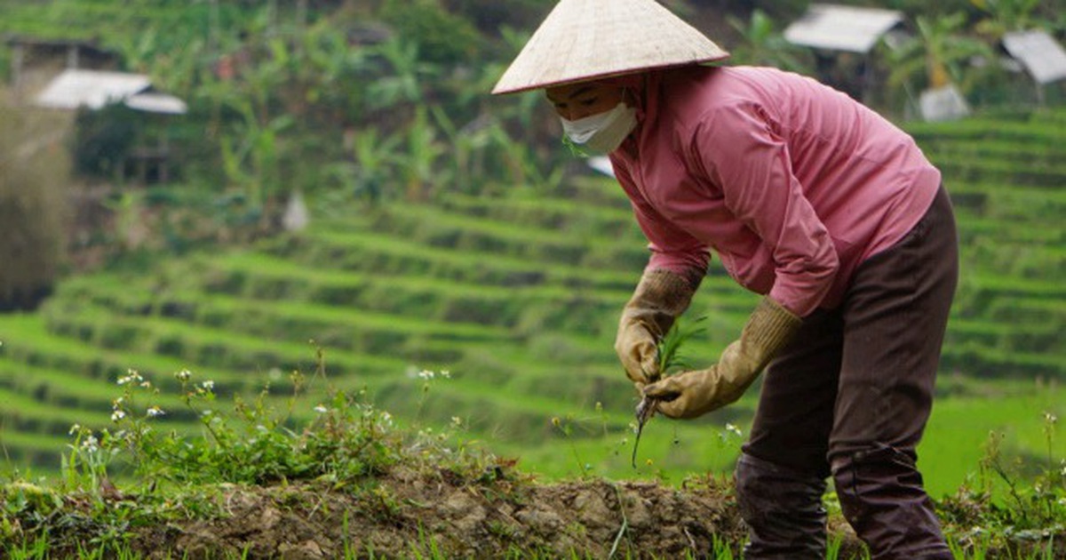 Tự giác… thoát nghèo