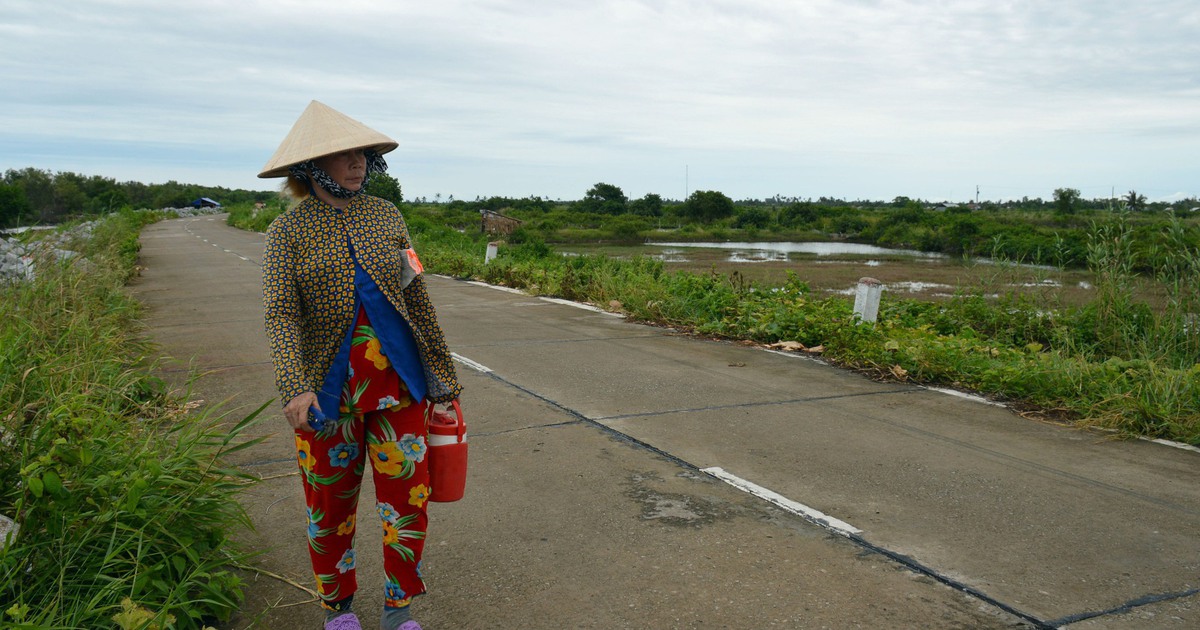 Cà Mau: 6 cán bộ bị khiển trách liên quan sai sót dự án đê biển Tây