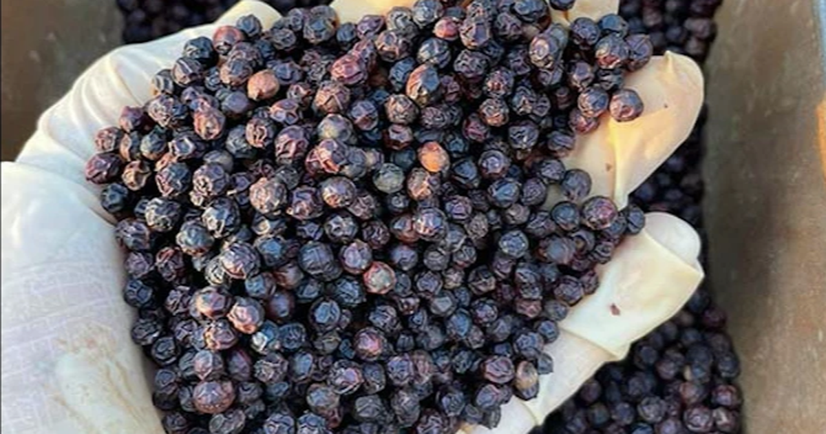 Tiêu tăng giá còn cà phê, sầu riêng rớt mạnh