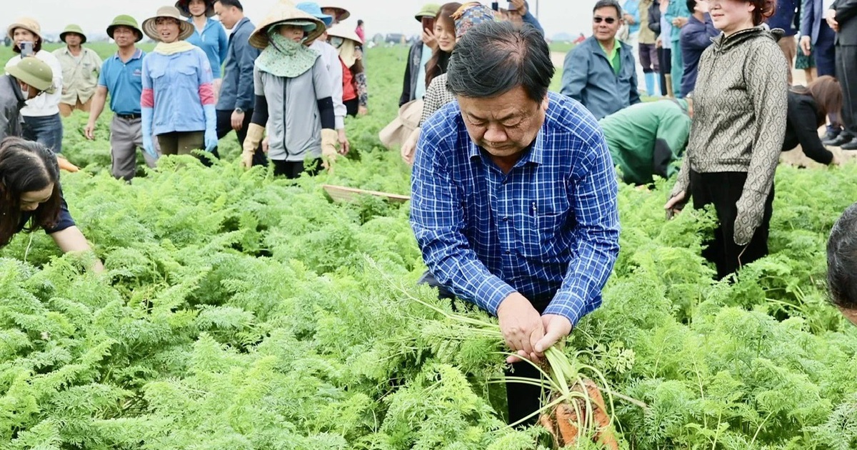 Làm nông thức thời: Tâm huyết của 'tư lệnh' ngành nông nghiệp