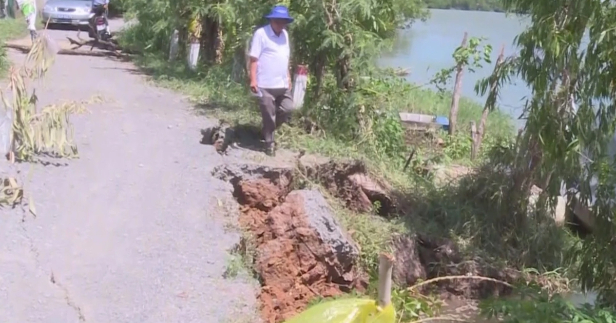 Long An: Sạt lở tuyến đê Vàm Cỏ Tây, H.Châu Thành gửi văn bản khẩn