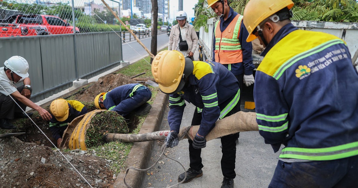 TP.HCM: Đốn hạ, di dời 236 cây xanh để mở rộng đại lộ Võ Văn Kiệt