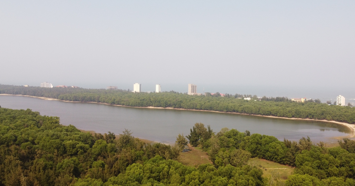 Những mạch nước lạ kỳ: Bàu Tró, hồ nước ngọt bên... bờ biển