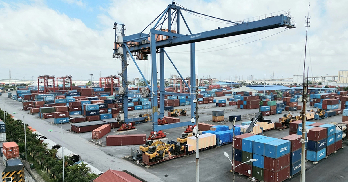 Giá cước vận tải biển chính ngạch có xu hướng ổn định hơn