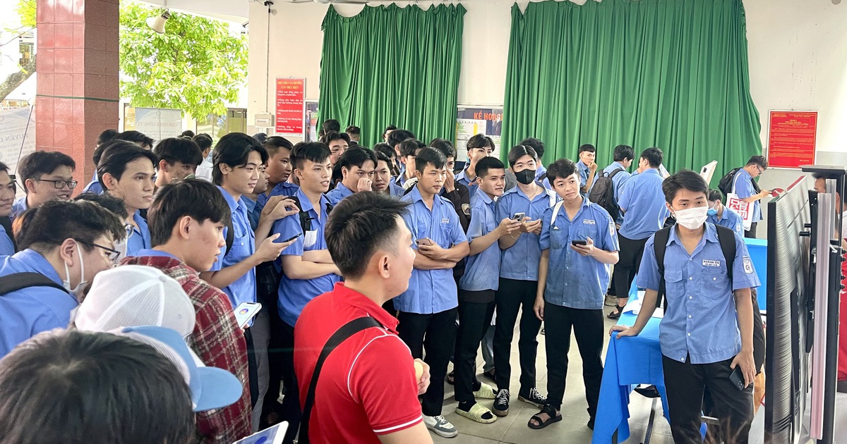 Doanh nghiệp 'săn' sinh viên cao đẳng với mức lương hơn chục triệu đồng/tháng