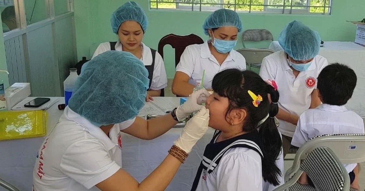 Tỷ lệ học sinh từ lớp 1 - 3 tại TP.HCM bị sâu răng rất cao