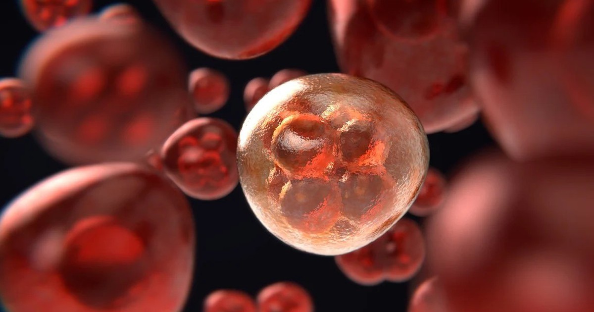 Tạo ra robot siêu nhỏ tìm diệt khối u ung thư trúng đích 100%