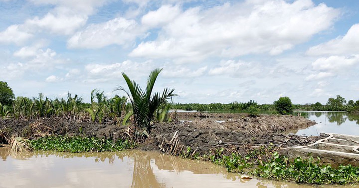 Kiên Giang: Xử phạt người chiếm đất tại đầm Đông Hồ