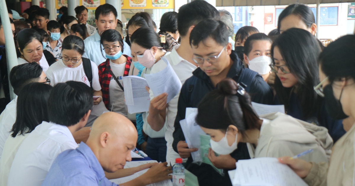 TP.HCM hỗ trợ người lao động, người khuyết tật tìm việc làm