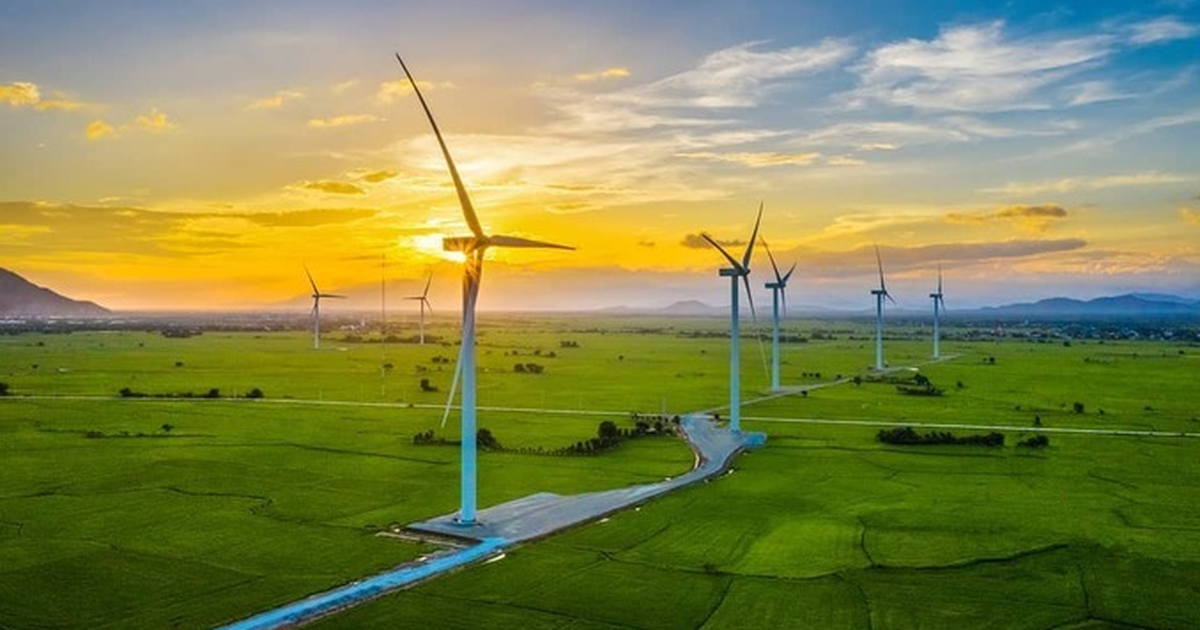 Những cánh đồng quạt gió nổi tiếng tại Việt Nam nhất định bạn phải đến một lần