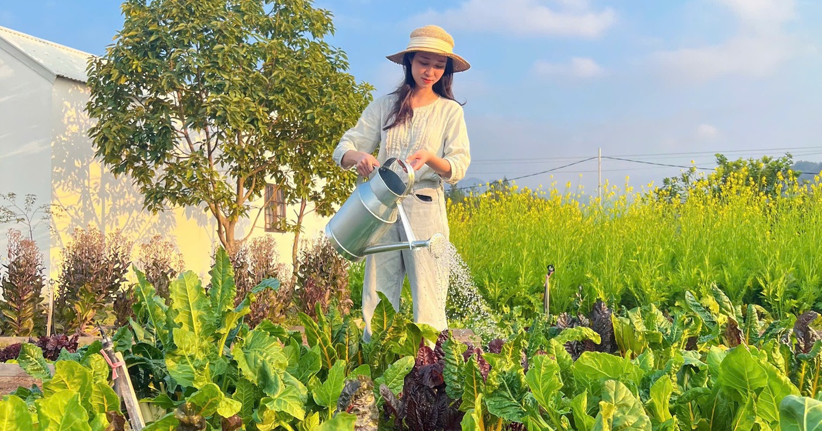 Cô gái biến khu vườn đẹp tựa các đồng quê ở châu Âu