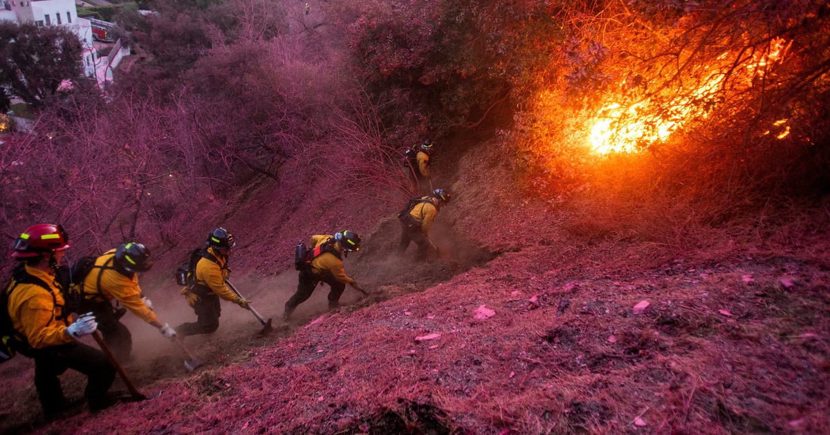 Taking advantage of the California wildfires to impersonate a firefighter to steal