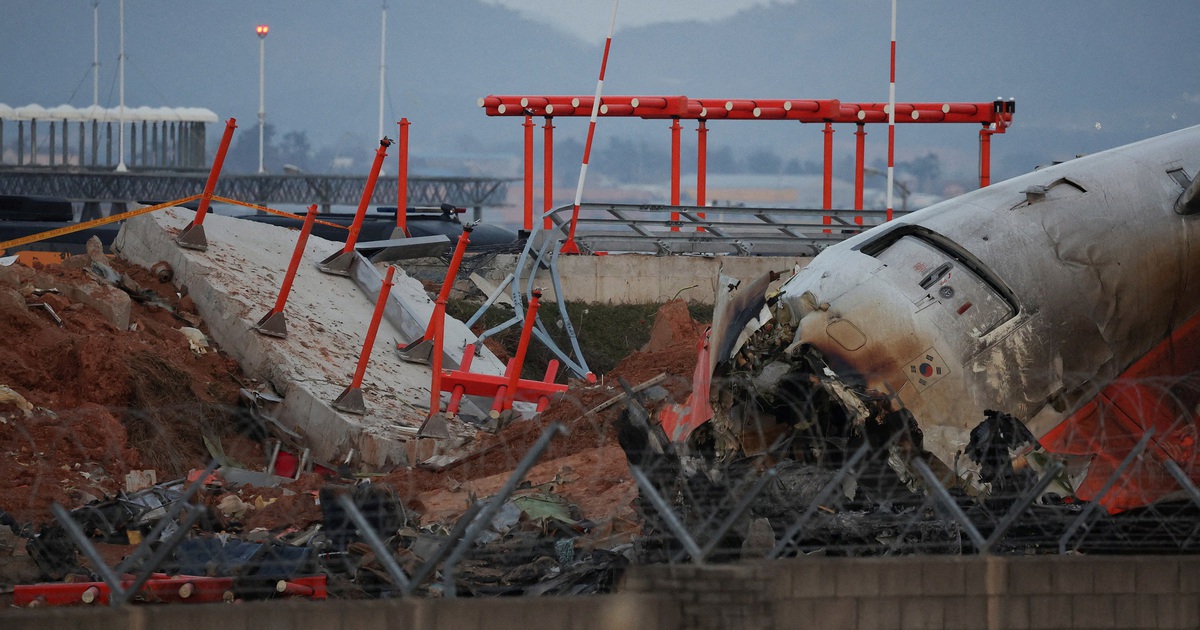 Reuters: There were bird feathers and blood in both Jeju Air plane engines