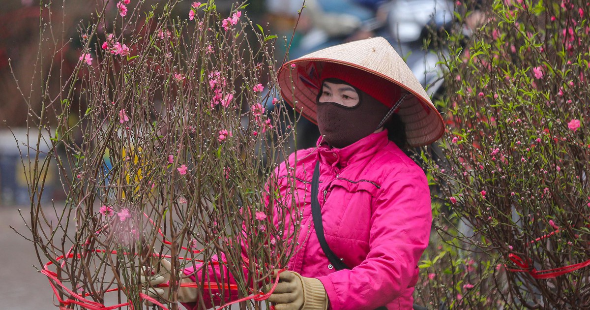 Miền Bắc đ&oacute;n kh&ocirc;ng kh&iacute; lạnh, miền Nam c&oacute; triều cường trong tết Nguy&ecirc;n đ&aacute;n Ất Tỵ