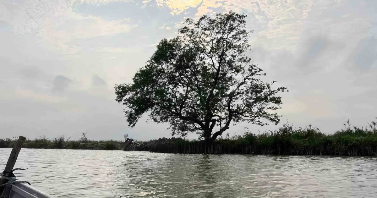 Đã bao lâu rồi anh em ta mới lại đi chơi cùng nhau?