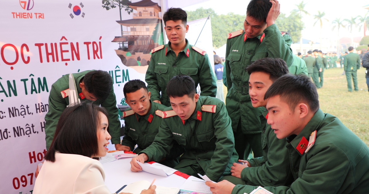Tư vấn nghề nghiệp, việc làm cho 6.000 thanh niên sắp hoàn thành nghĩa vụ quân sự