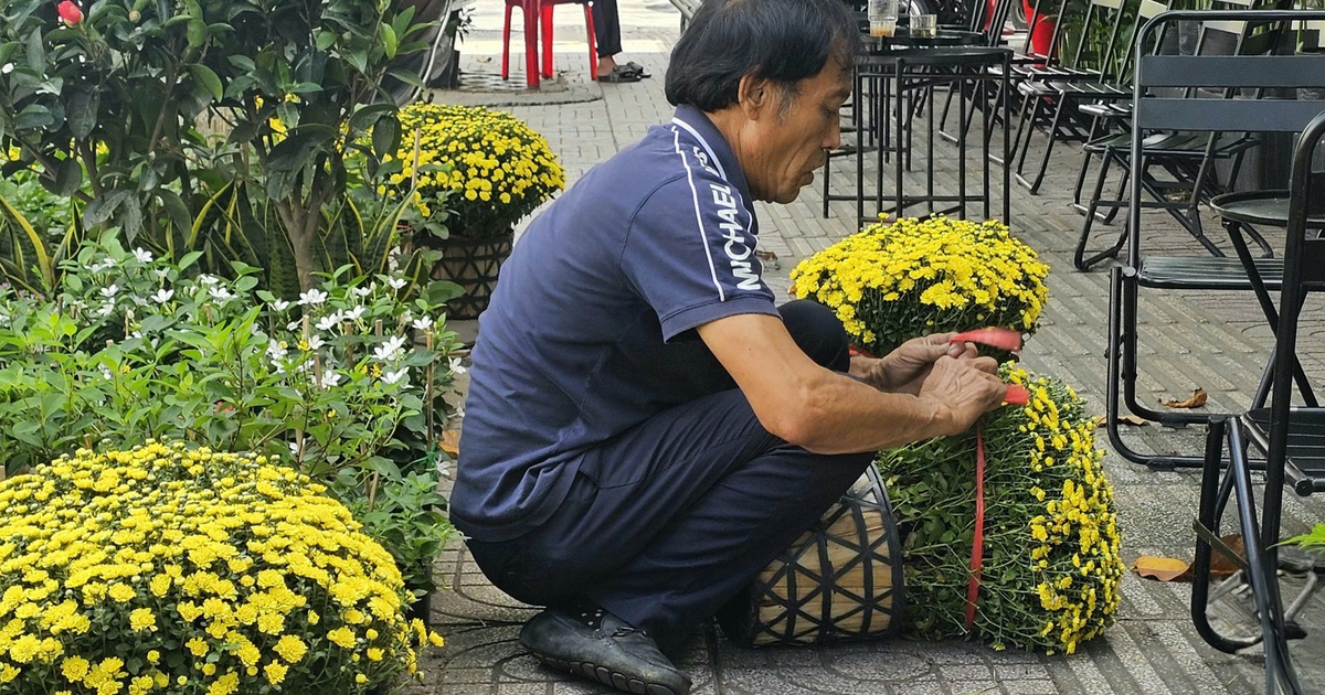 Hoa tết Ất Tỵ ở TP.HCM xuống phố sớm: Tiểu thương 'nhắm' công ty, ngân hàng...