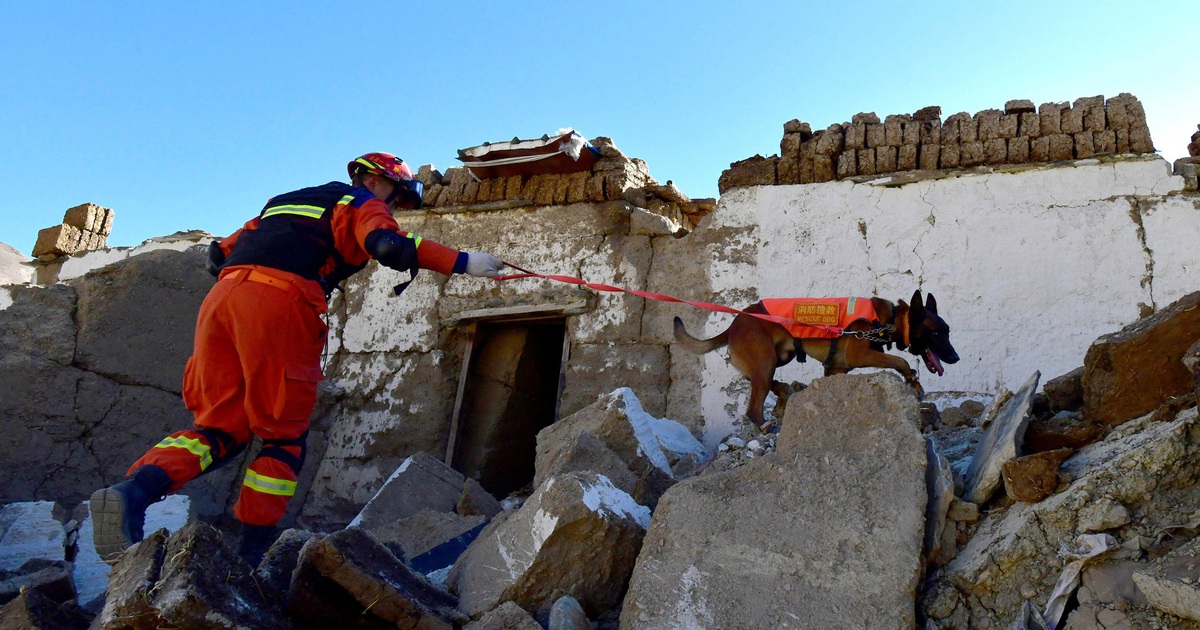 While rescuing in Tibet, China recorded an earthquake in Qinghai