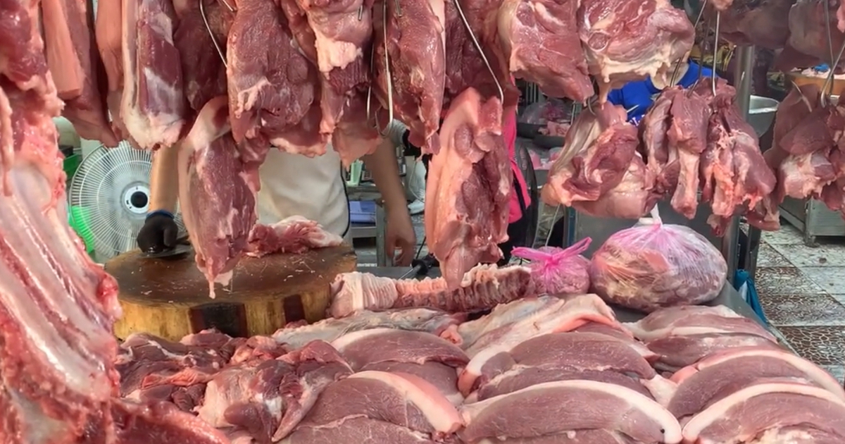 Giá heo hơi hôm nay 10.10.2025: Khi nào mới ngừng tụt dốc?