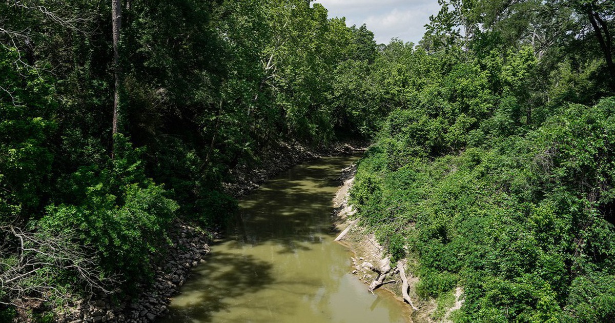 Nhiều thi thể được ph&aacute;t hiện tr&ecirc;n s&ocirc;ng ở Texas