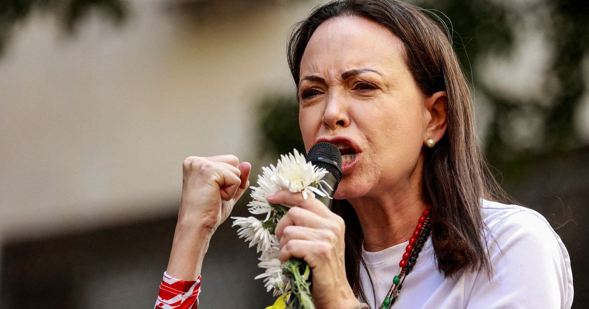 Điều tra bất thường về tỷ lệ c&aacute; cược giải Nobel H&ograve;a b&igrave;nh