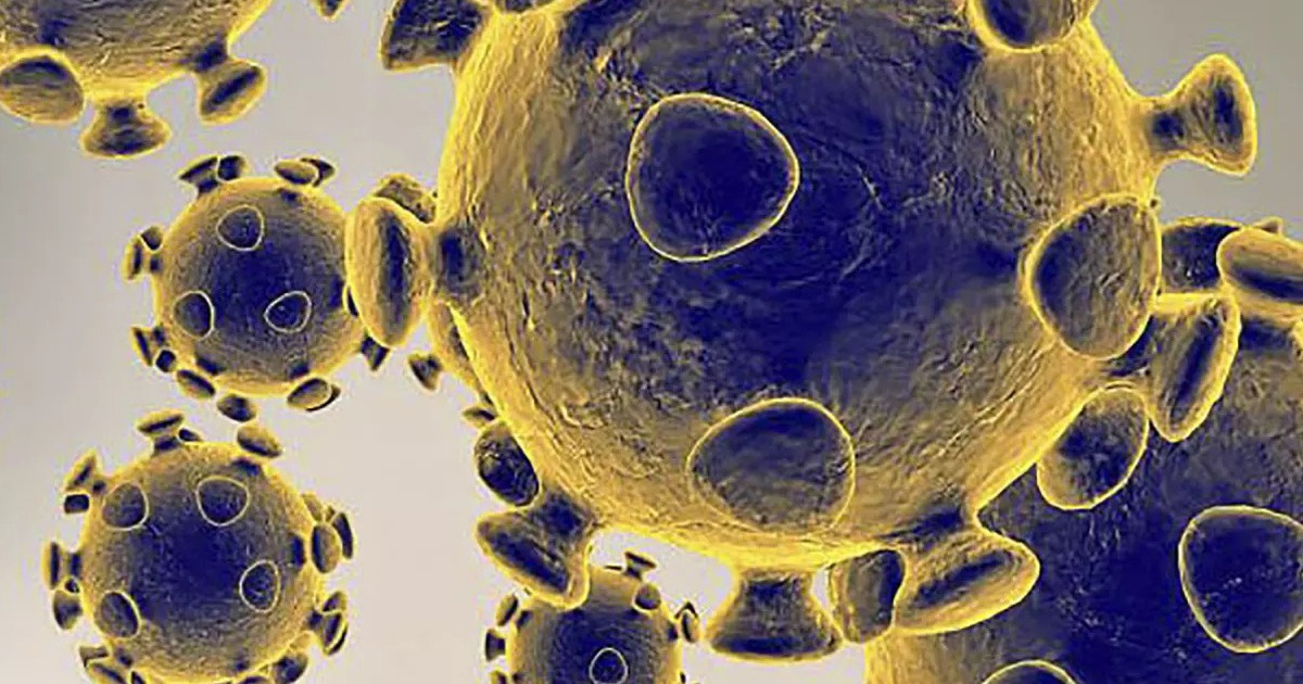 Nhiễm Covid-19 l&agrave;m biến đổi tinh tr&ugrave;ng?