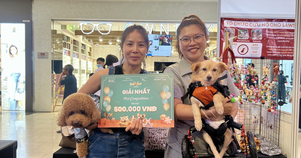 Ch&oacute;, thỏ, chuột hamster... lần đầu ti&ecirc;n được v&agrave;o sảnh trung t&acirc;m thương mại vui chơi