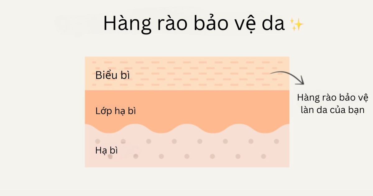 Hàng rào bảo vệ da là gì? Cách bảo toàn hàng rào da chuẩn y khoa