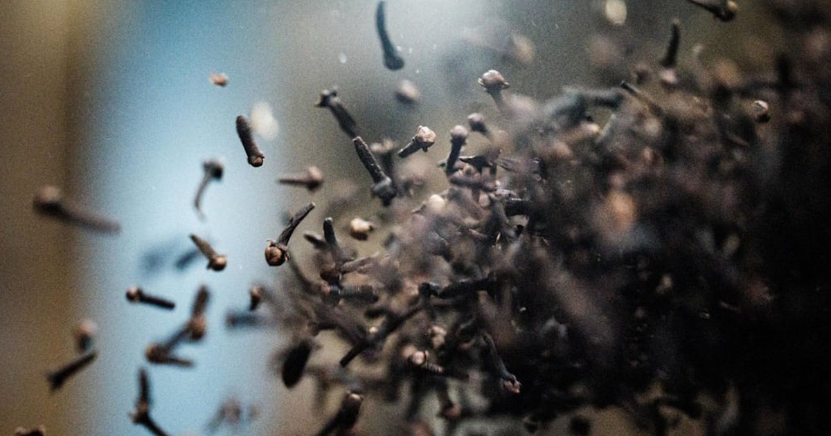 Ph&aacute;t hiện dấu vết ph&oacute;ng xạ tại trang trại đinh hương ở Indonesia