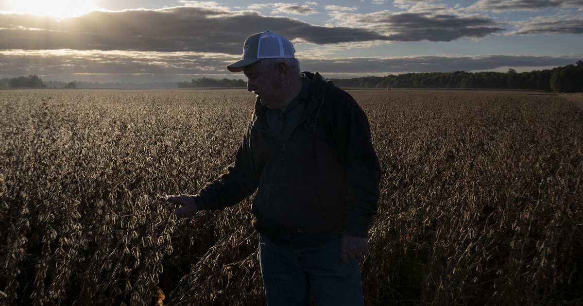 &Ocirc;ng Trump dọa trả đũa Trung Quốc chuyện ngừng mua đậu n&agrave;nh Mỹ