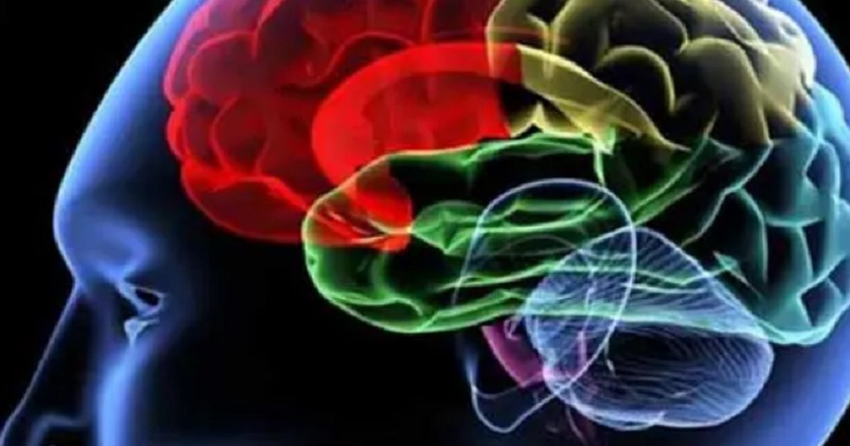 V&igrave; sao WHO k&ecirc;u gọi tập trung khẩn cấp v&agrave;o sức khỏe n&atilde;o bộ?